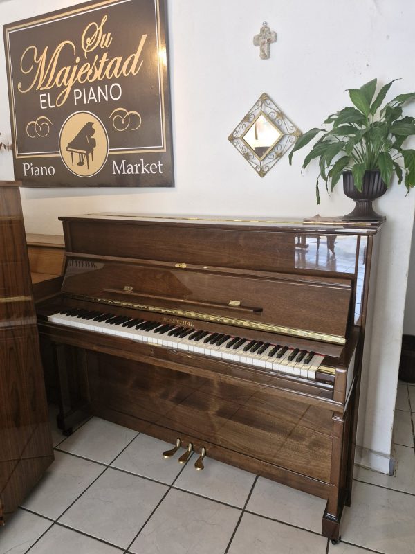 #345915 Piano seminuevo marca ROSENTHAL. Garantizado.