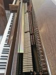 #345915 Piano seminuevo marca ROSENTHAL. Garantizado.