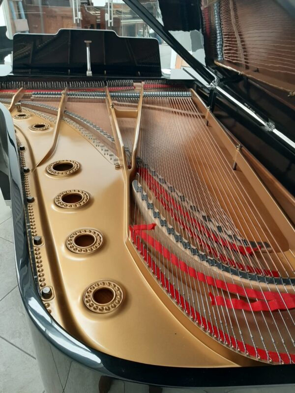 STEINWAY & SONS — El Mejor Piano del Mundo, Ahora a Tu Alcance en Su Majestad el Piano.