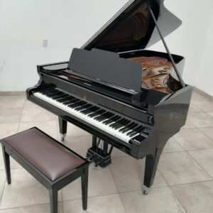 STEINWAY & SONS — El Mejor Piano del Mundo, Ahora a Tu Alcance en Su Majestad el Piano.