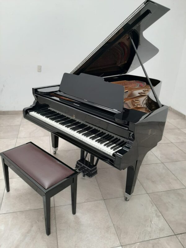 STEINWAY & SONS — El Mejor Piano del Mundo, Ahora a Tu Alcance en Su Majestad el Piano.