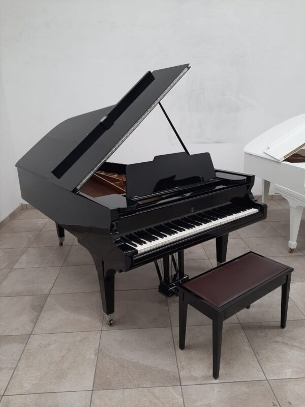 STEINWAY & SONS — El Mejor Piano del Mundo, Ahora a Tu Alcance en Su Majestad el Piano.