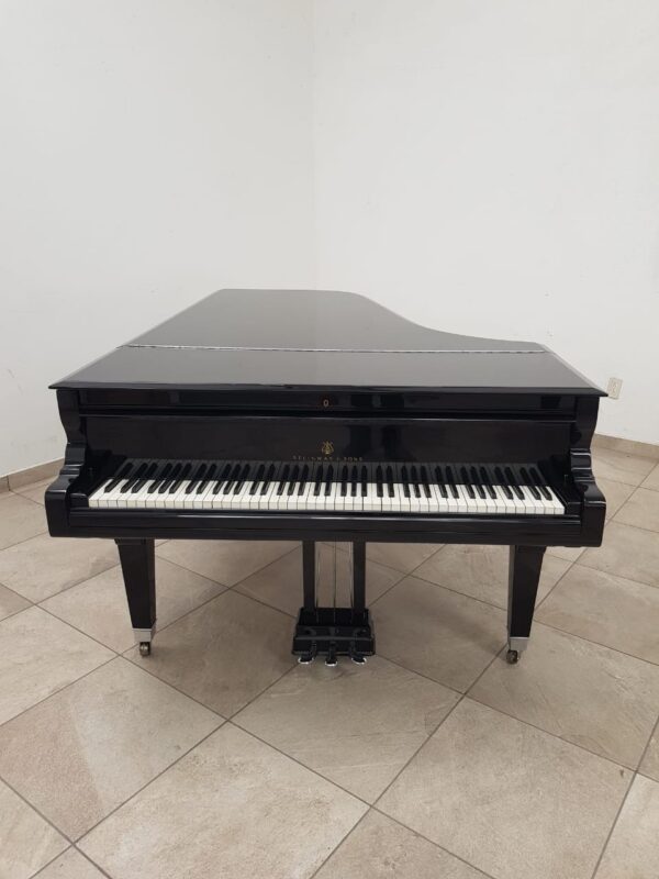 STEINWAY & SONS — El Mejor Piano del Mundo, Ahora a Tu Alcance en Su Majestad el Piano.
