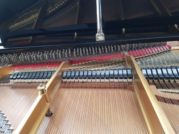 STEINWAY & SONS — El Mejor Piano del Mundo, Ahora a Tu Alcance en Su Majestad el Piano.