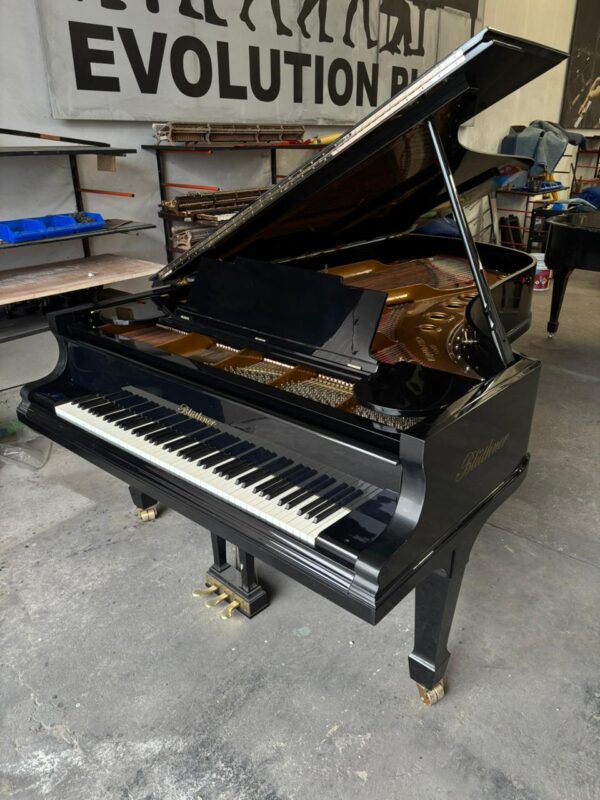 Piano de Cola Blüthner D Aliquot – Maquinaria Renner, 2.75m, envío a todo México