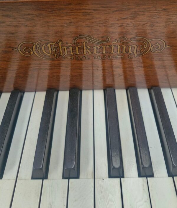 Piano CHICKERING Media Cola, Sonoridad excepcional.