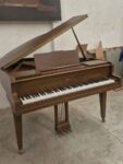 ¡GRAN REMATE DE BODEGA – LIQUIDACIÓN URGENTE! $43,890 MXN | Su Majestad El Piano