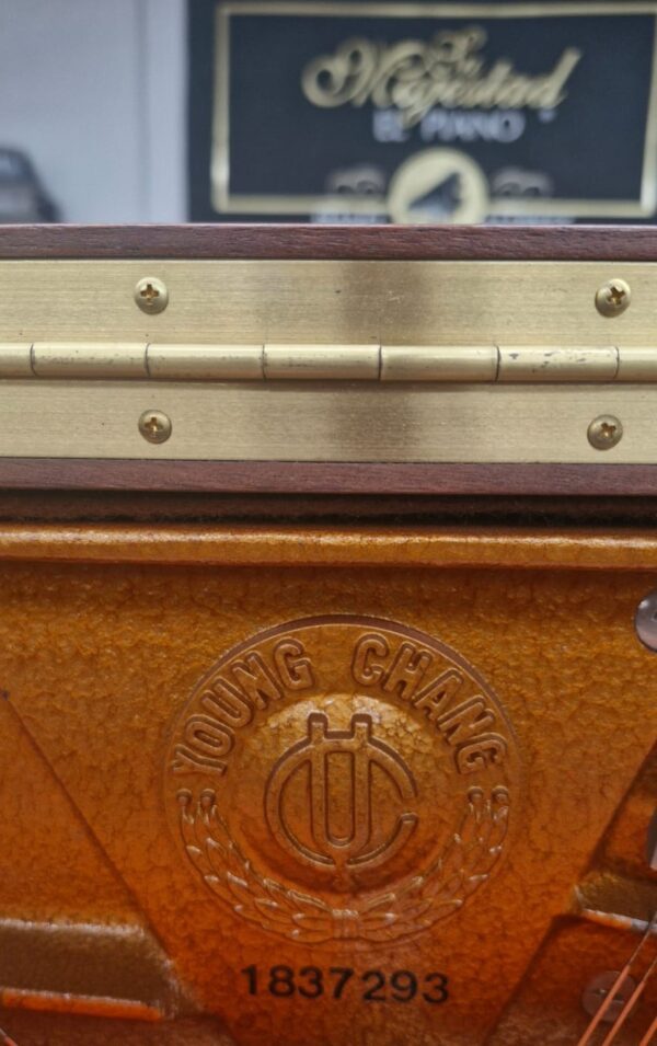 #1837293 Piano YOUNG CHANG  U-121, Sonido que conquista desde la primera nota.