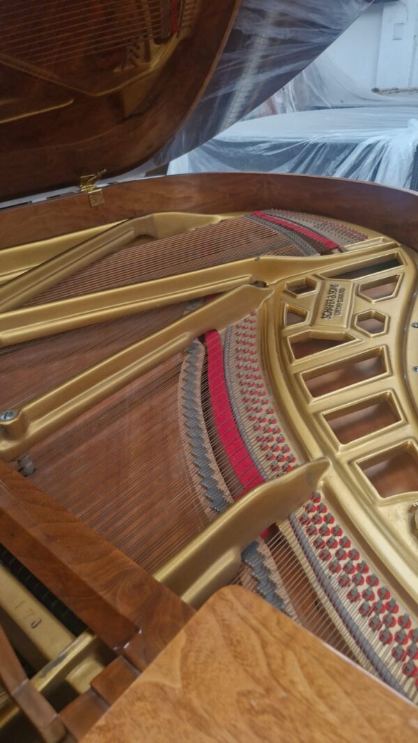 Piano SCHAFER & SONS Raiz de Olmo, Excelente proyección armónica.