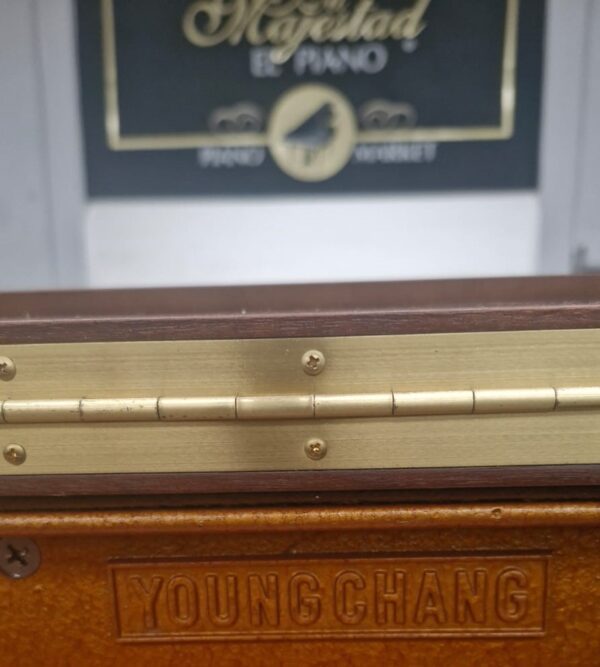 #1837293 Piano YOUNG CHANG  U-121, Sonido que conquista desde la primera nota.