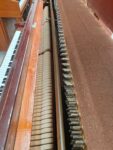 # 5987 Piano SKYLARK, Vertical Estudio.