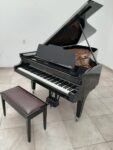 STEINWAY & SONS — El Mejor Piano del Mundo, Ahora a Tu Alcance en Su Majestad el Piano.