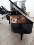 STEINWAY & SONS — El Mejor Piano del Mundo, Ahora a Tu Alcance en Su Majestad el Piano.