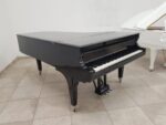 STEINWAY & SONS — El Mejor Piano del Mundo, Ahora a Tu Alcance en Su Majestad el Piano.