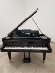 STEINWAY & SONS — El Mejor Piano del Mundo, Ahora a Tu Alcance en Su Majestad el Piano.