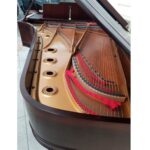 STEINWAY & SONS — El Mejor Piano del Mundo, Ahora a Tu Alcance en Su Majestad el Piano.