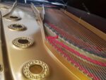 STEINWAY & SONS — El Mejor Piano del Mundo, Ahora a Tu Alcance en Su Majestad el Piano.