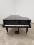 STEINWAY & SONS — El Mejor Piano del Mundo, Ahora a Tu Alcance en Su Majestad el Piano.