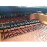 STEINWAY & SONS — El Mejor Piano del Mundo, Ahora a Tu Alcance en Su Majestad el Piano.