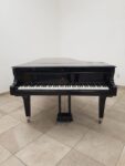 STEINWAY & SONS — El Mejor Piano del Mundo, Ahora a Tu Alcance en Su Majestad el Piano.