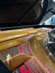 Piano de Cola Blüthner D Aliquot – Maquinaria Renner, 2.75m, envío a todo México
