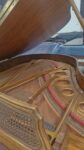 #D83623 Piano KIMBALL Media Cola, Encino, Resonancia Distinguida.