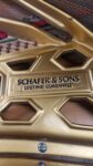 Piano SCHAFER & SONS Raiz de Olmo, Excelente proyección armónica.