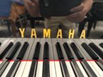 #1368427 Piano de Cola YAMAHA G5E 196 cm | Negro Poliéster Profesional